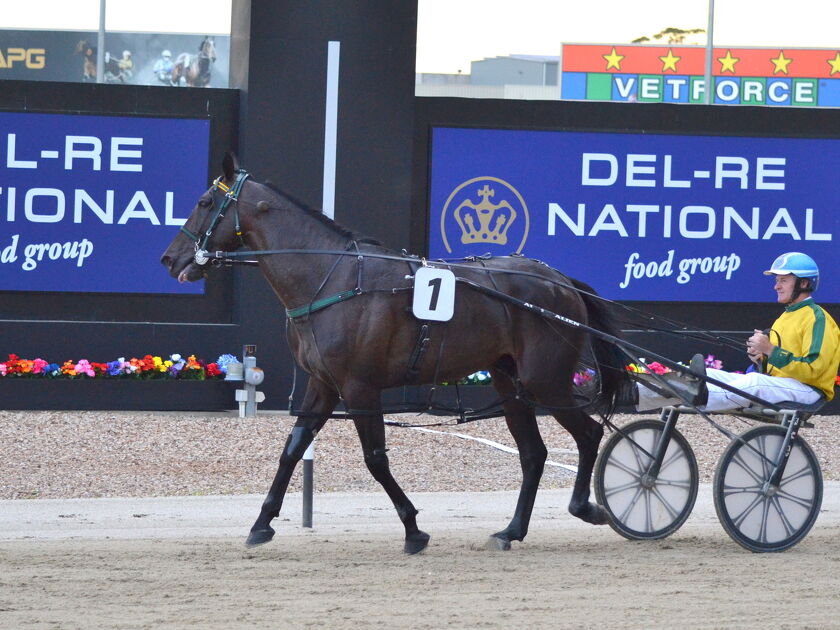 Yankee Rockstar