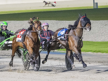 First GROUP 1 winner for Pastor Stephen