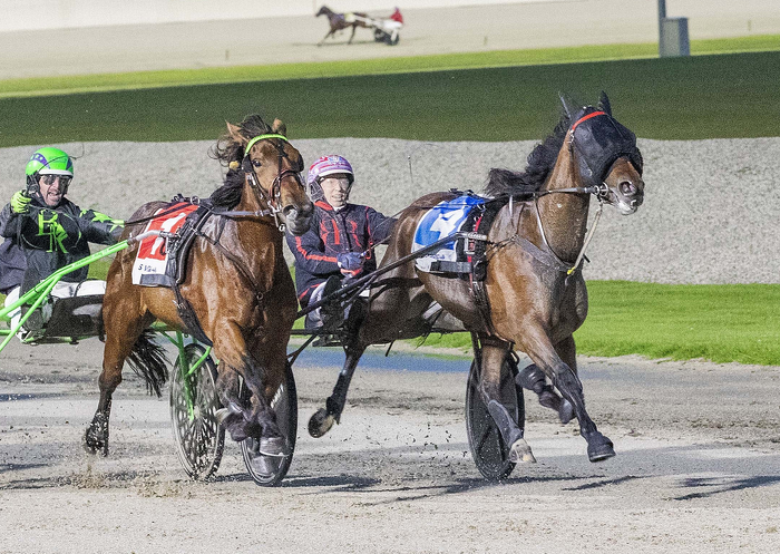 First GROUP 1 winner for Pastor Stephen