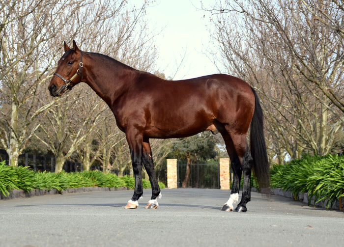The Llowalong Week - 20 March