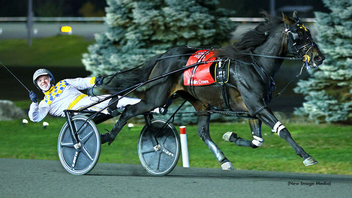 Sons of guns set to carry on trotting sire dynasty
