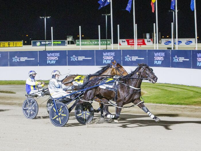 Poster Boy filly has Ballarat syndicate dreaming big