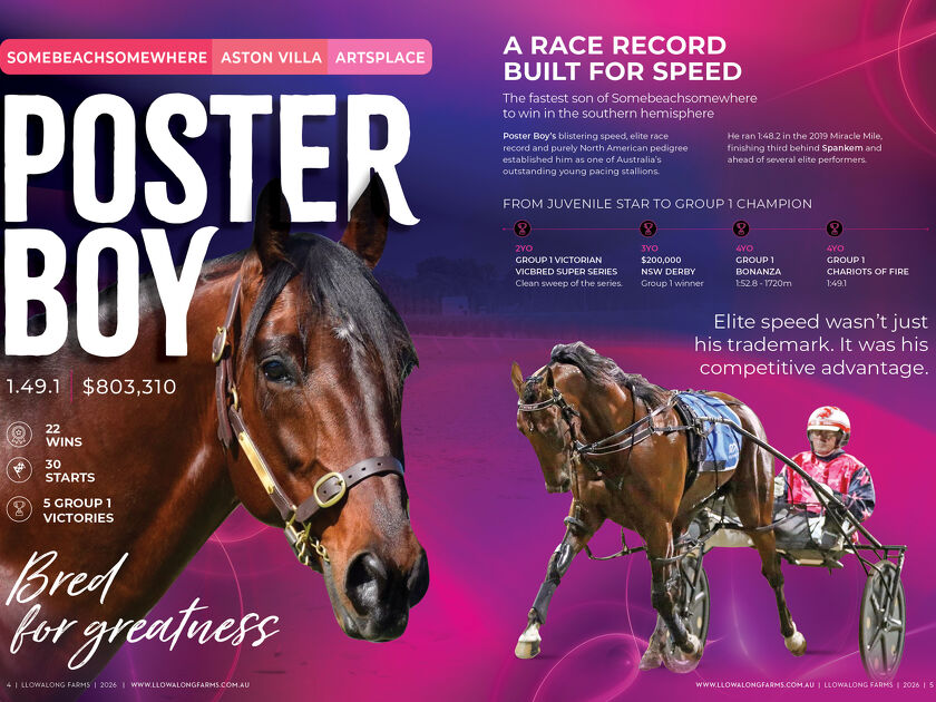 Poster Boy