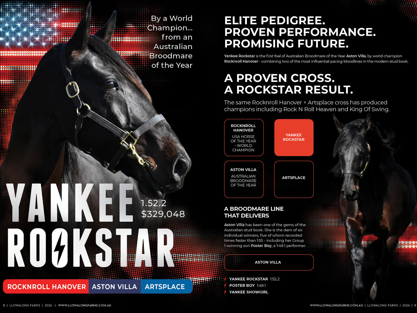 Yankee Rockstar
