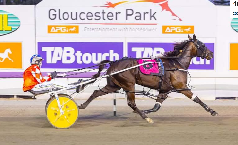 Group 1 winner for Poster Boy
