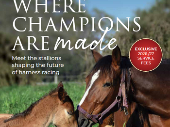 Llowalong's 2026 Stallion & Services Brochure