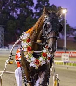 Poster Boy son takes second GROUP 1 win