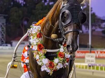 Poster Boy son takes second GROUP 1 win