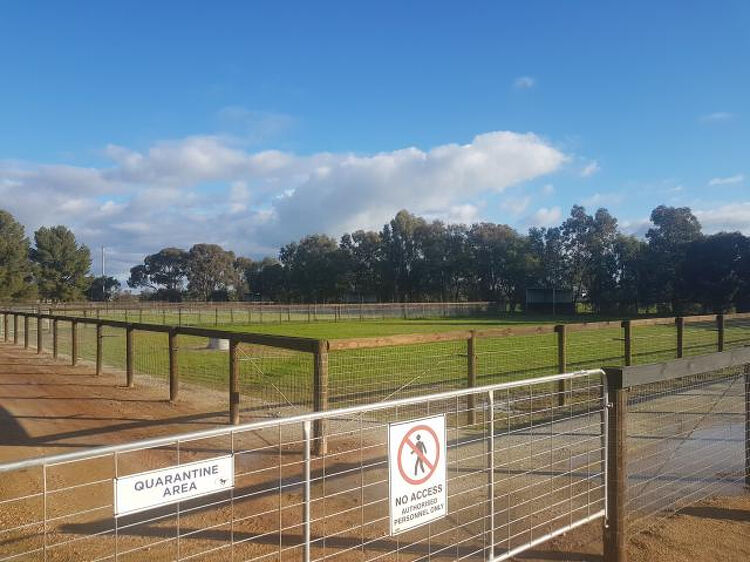 A fenced paddock labeled as a "Quarantine Area" with a gate displaying no-access signs. Green grass and trees are visible beyond the fence under a partly cloudy sky.